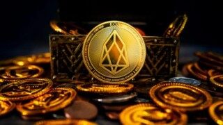柚子币app软件下载 柚子币最新安卓版下载