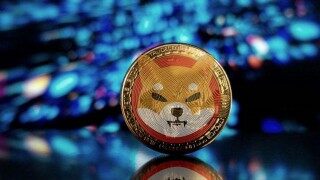 马斯克说shib可以涨到一美元(2022柴犬币最新消息)